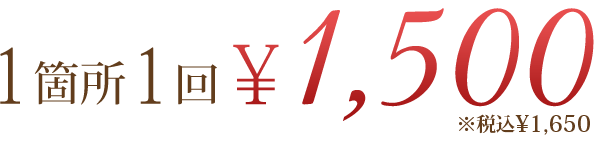 一箇所1回1,500円(税込1650円)