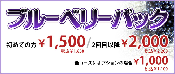 ブルーベリーパック