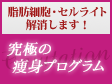 究極の痩身プログラム